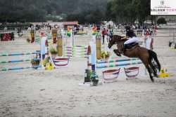 sologn' pony