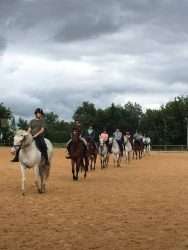 reprise équitation