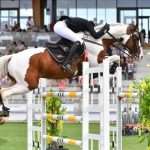 Top 10 des raisons d'avoir un cheval pie