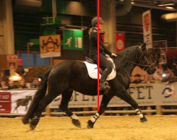 position à cheval
