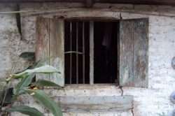 sellerie humide