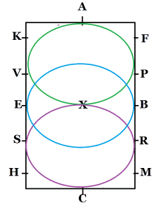 tracé cercles cheval