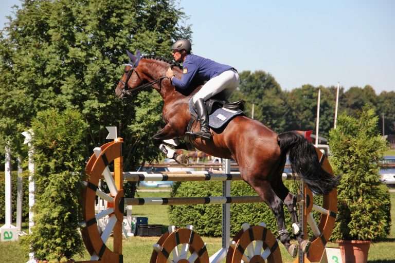 Quel Galop Faut Il Avoir Pour Faire Des Concours Top 5 des situations en concours qui énervent le public - Contre Galop