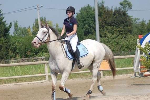 pions cheval cso