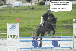 propriétaire de cheval