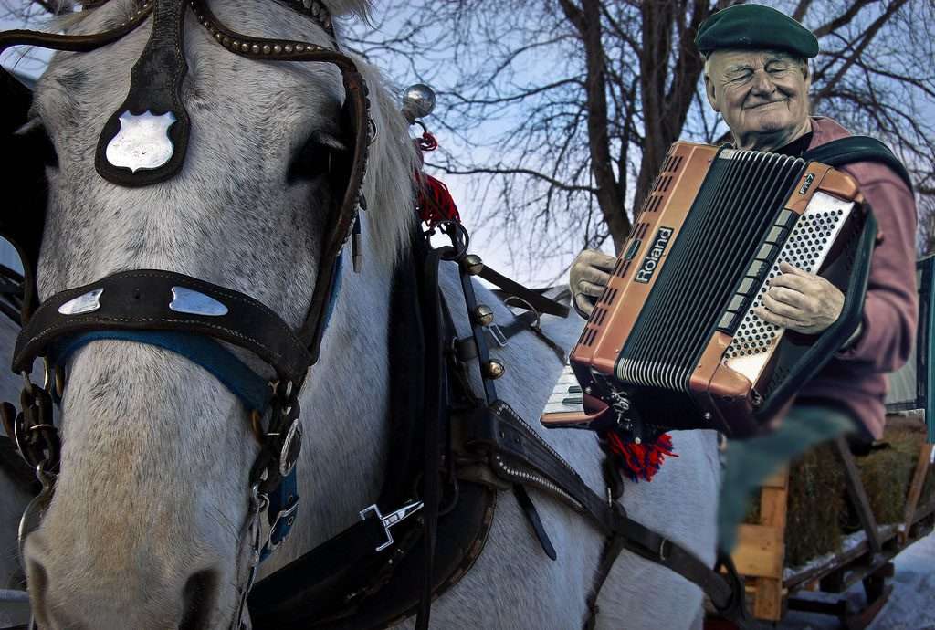 percheron attelage accordeon musique