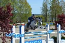 cavalier professionnel
