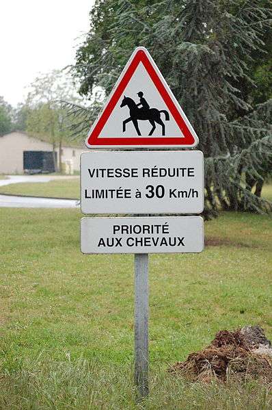 règles de priorité équitation