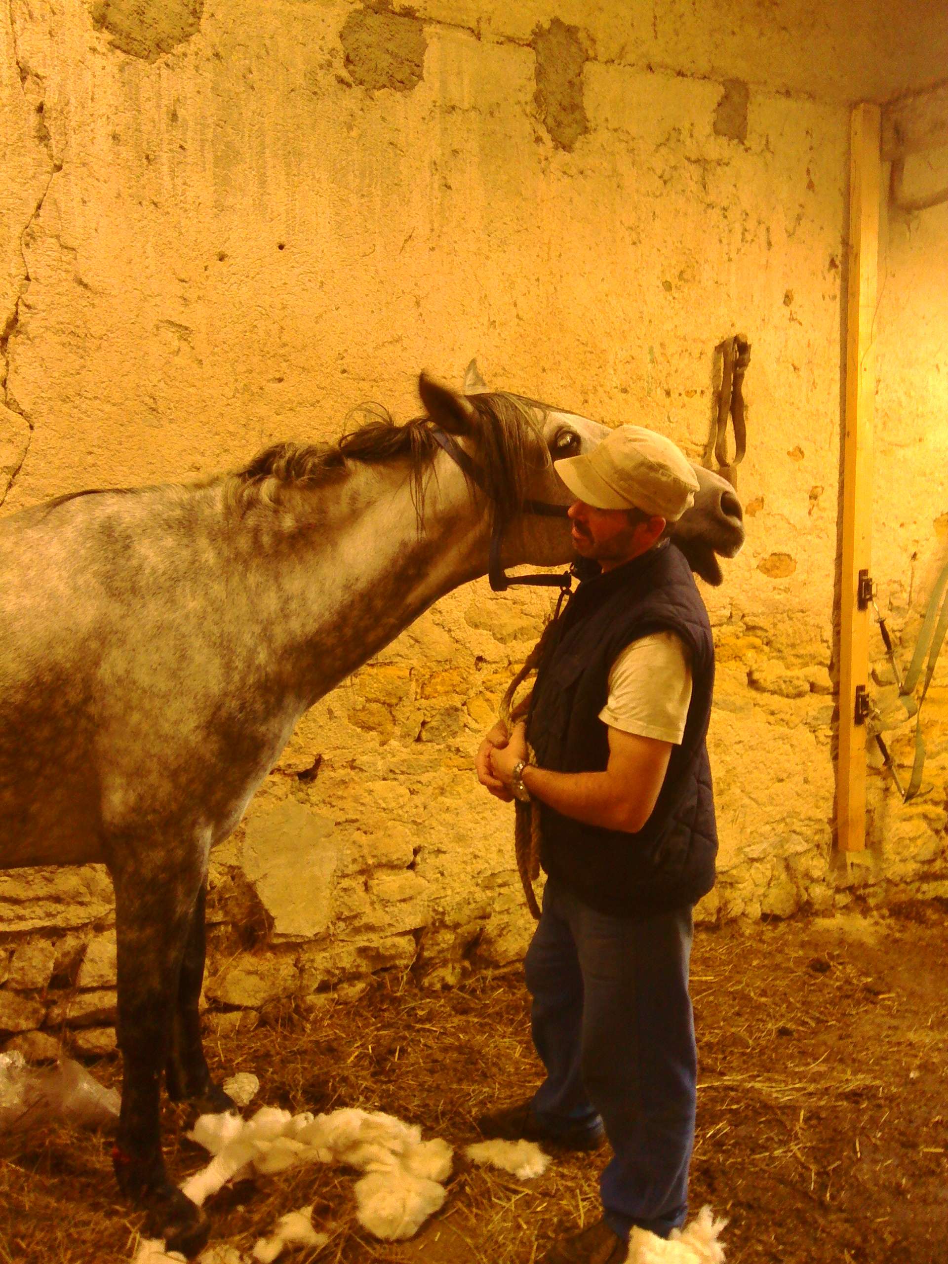 Métier équestre le palefrenier Contre Galop