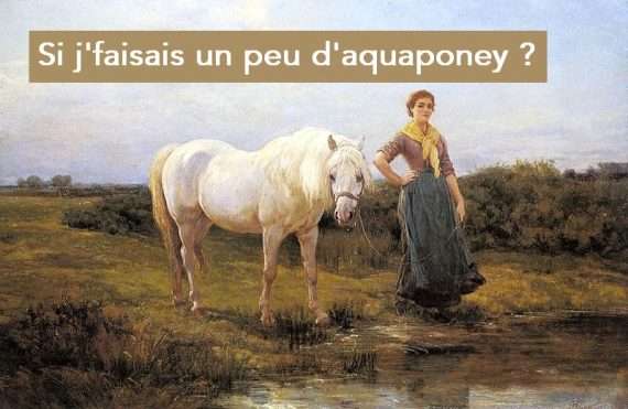 aqua poney