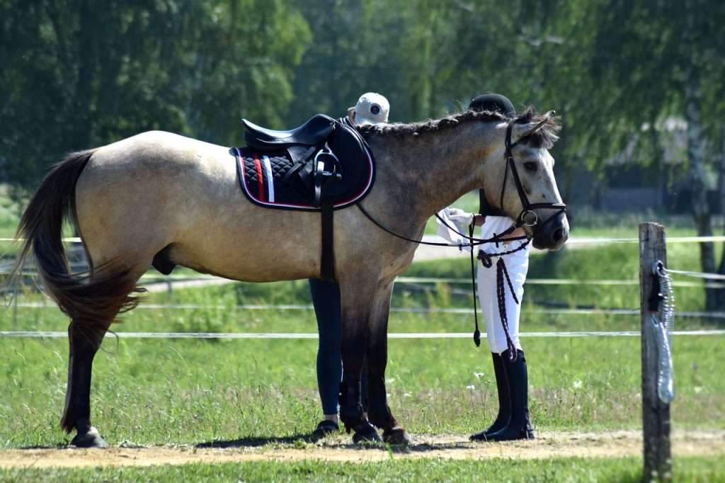 seller un cheval