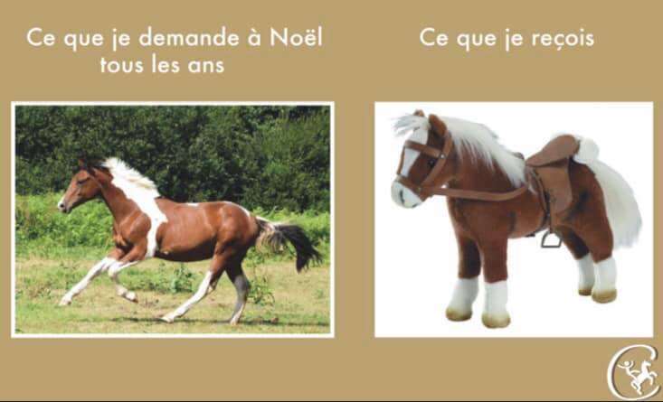 noel cheval