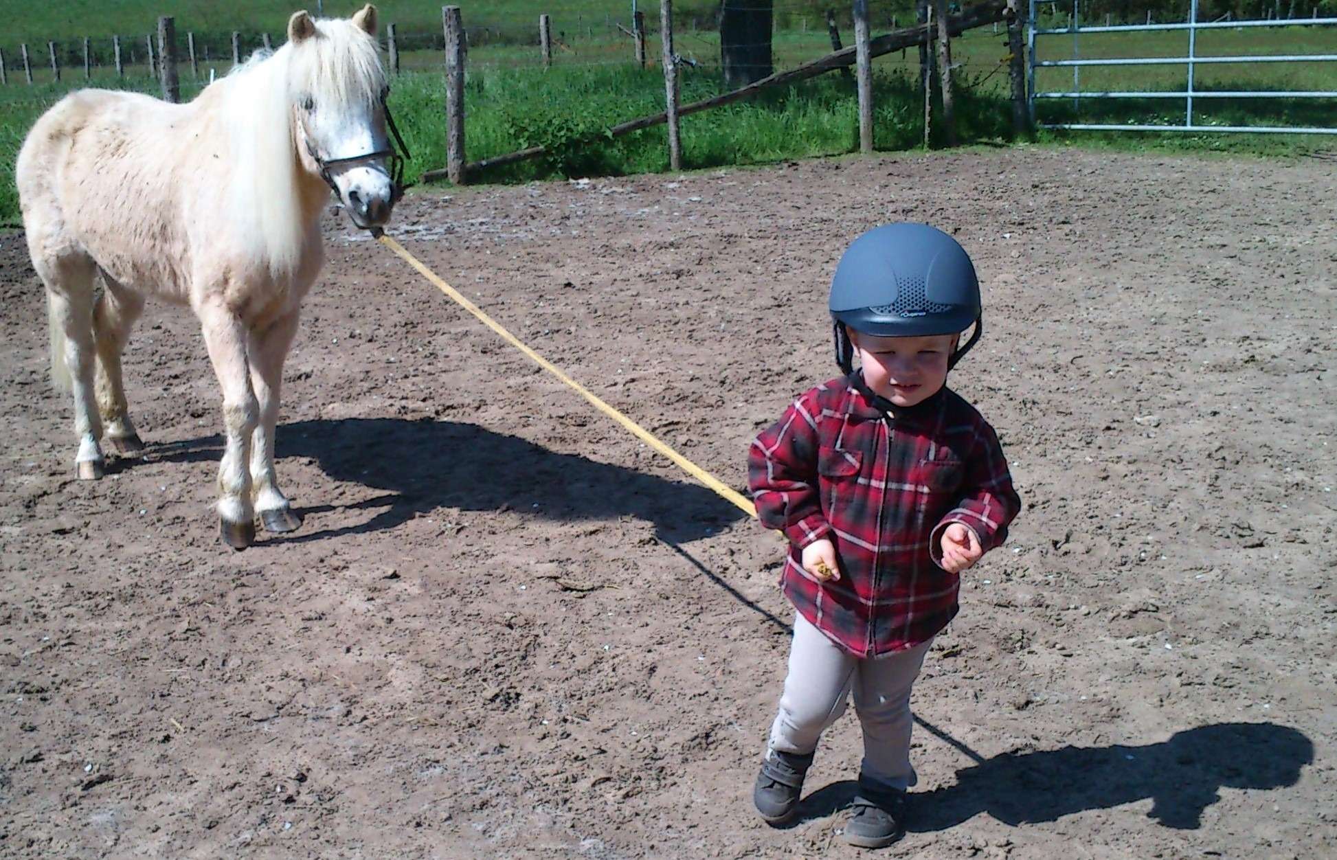 SCHLEICH - École D'équitation Avec Cavalière Et Chevaux - 42389 - Gamme