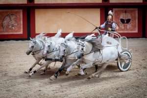 gladiateur romain courses de chevaux