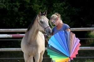 parapluie cheval