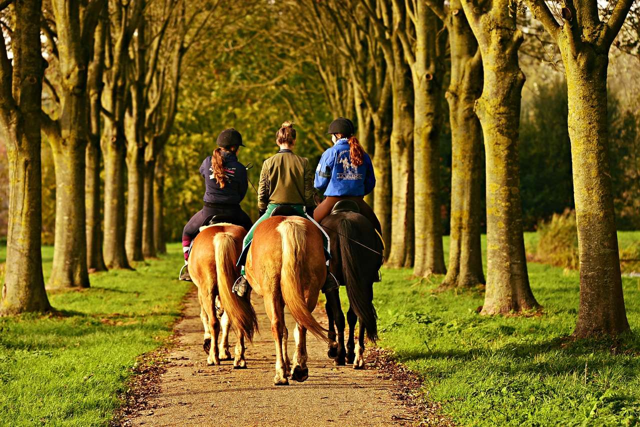 première balade à cheval