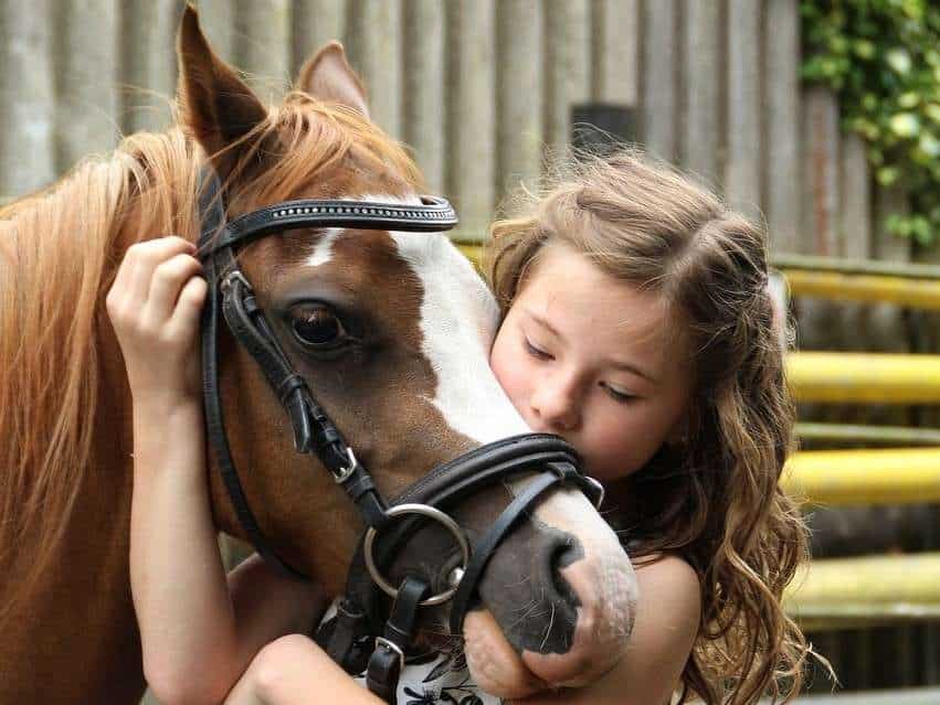 Tendresse