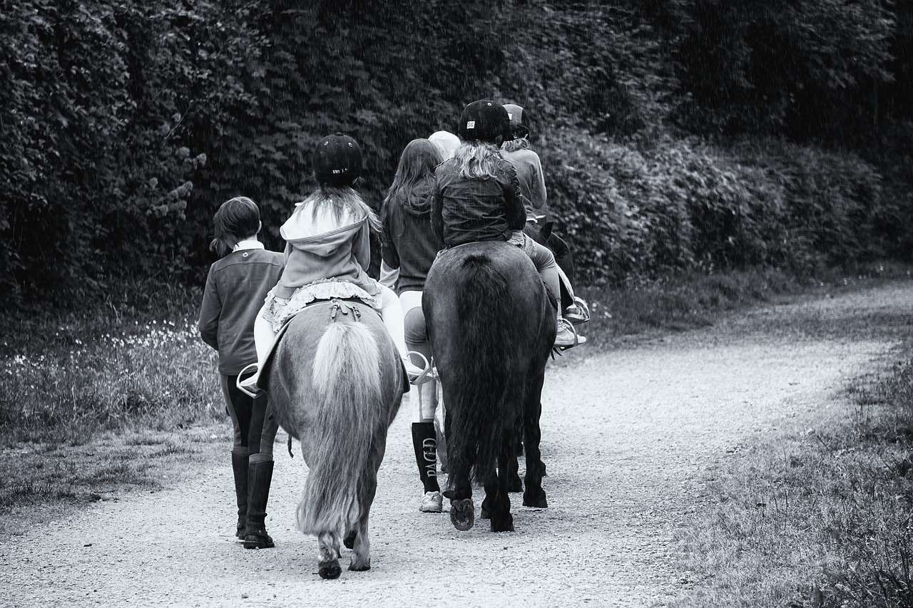 Première balade à cheval