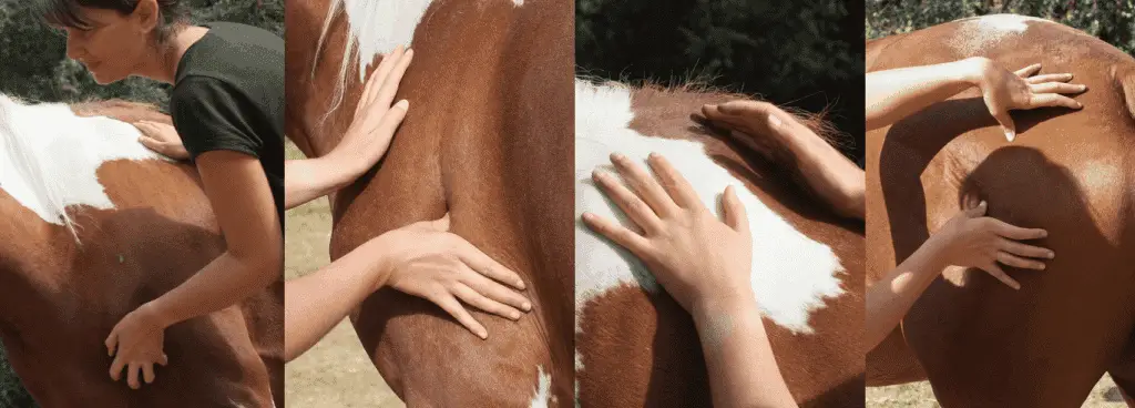 massage cheval