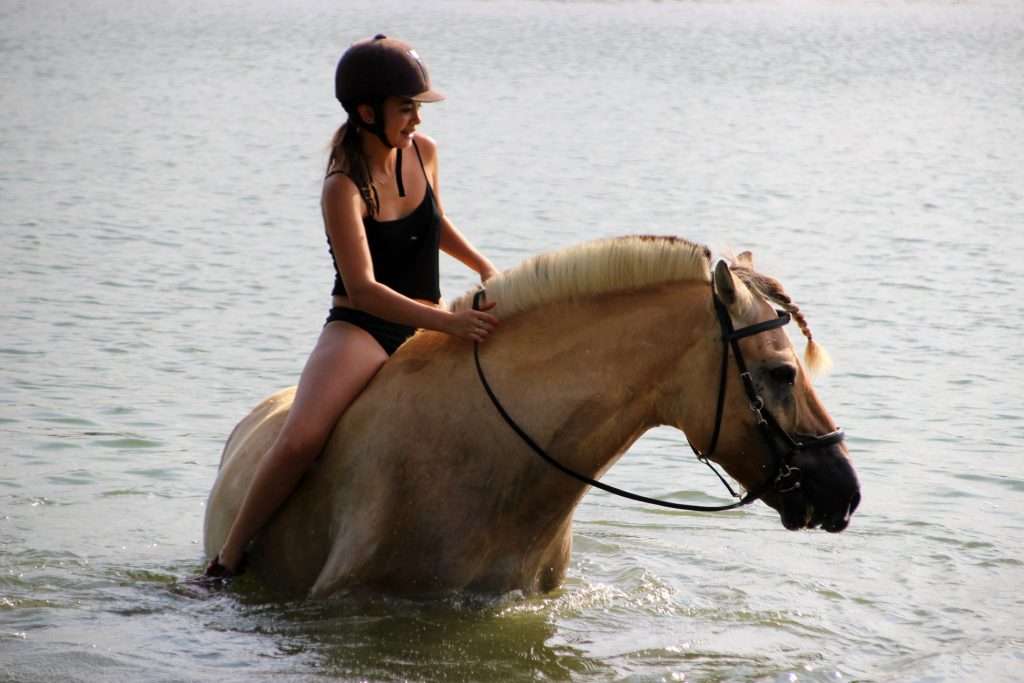 baignades à cheval