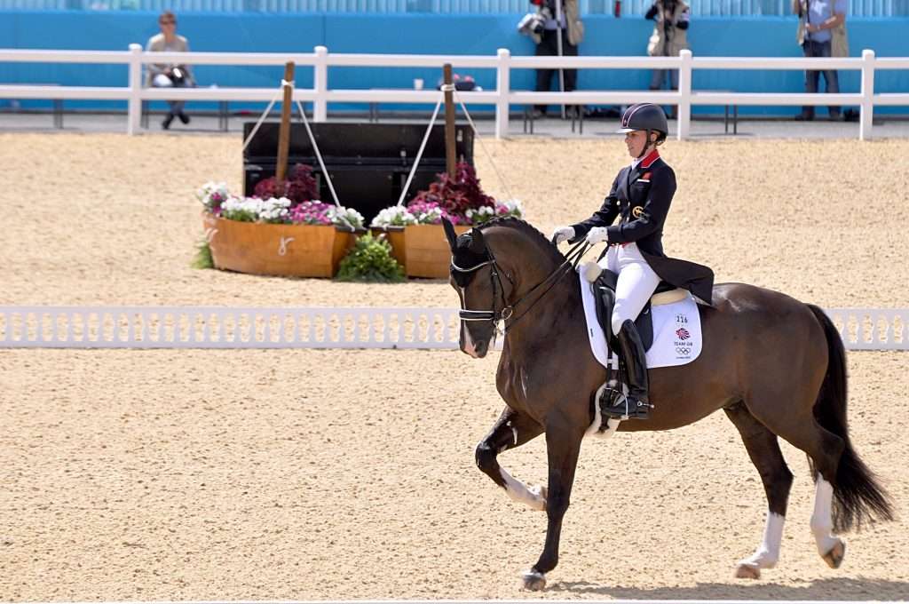 figure de dressage