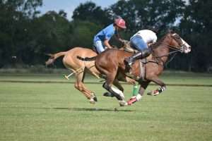 Attaque de polo
