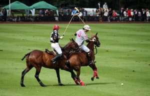 Deux joueurs de polo