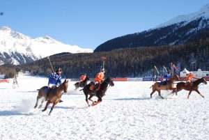 Polo winter