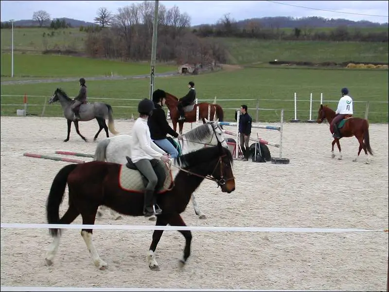 cours cheval