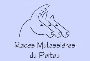 Associations nationales de race