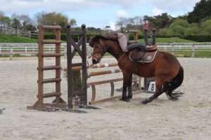 chute de cheval