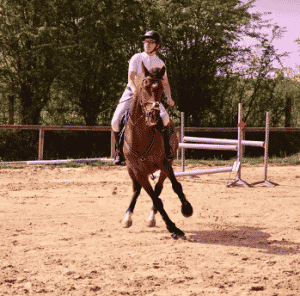 coach équitation