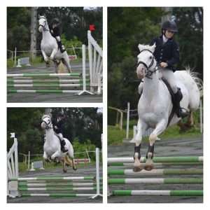 montage saut d'obstacles