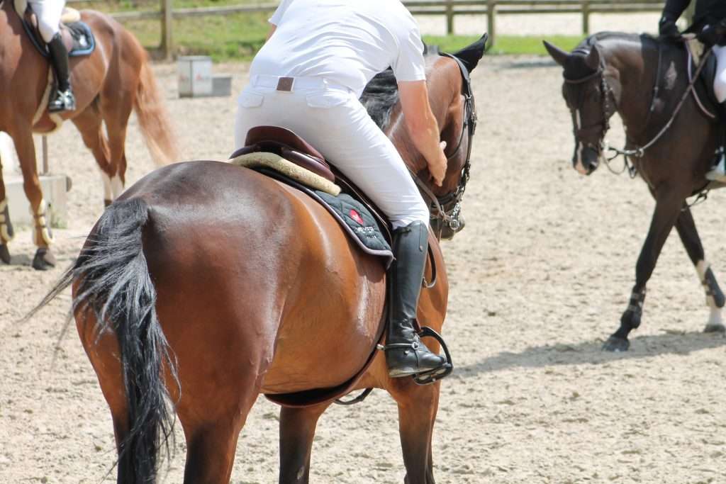 Quel Galop Faut Il Avoir Pour Faire Des Concours Galop 5 : Le guide complet - Contre Galop