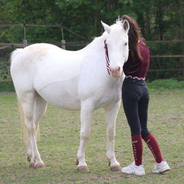 Niky et Noémi