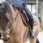 Fixity : la chaussette d’équitation qui change la vie