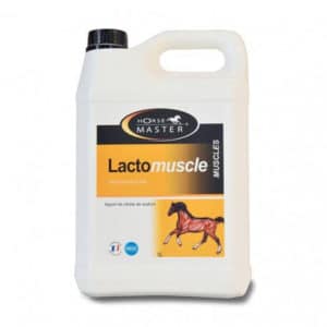 Horse Master – Lactomuscle