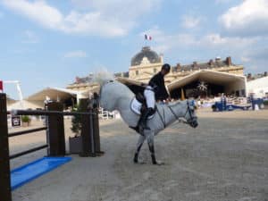 rdv equestre France