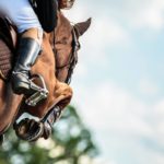 Équitation : comment choisir un tapis de selle adapté à votre discipline ?