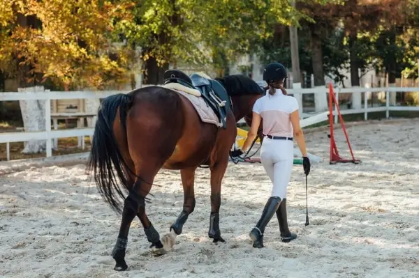 Comment choisir son pantalon d'équitation ? - Blog Equestra