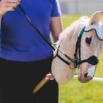 Hobby horse : ce que vous devez savoir pour performer et vous amuser